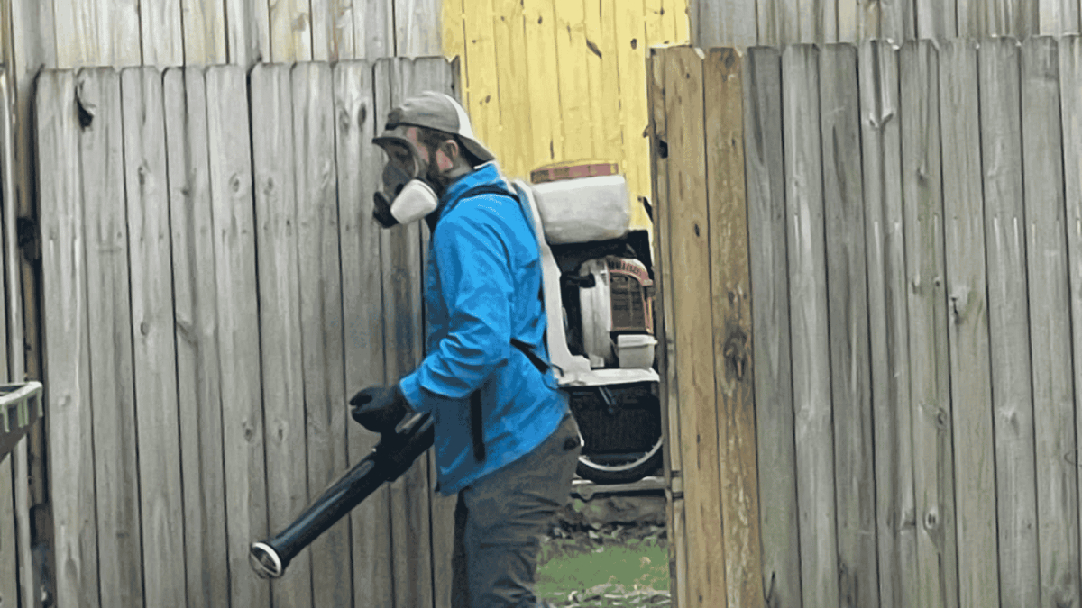Pest Control in Candler, NC