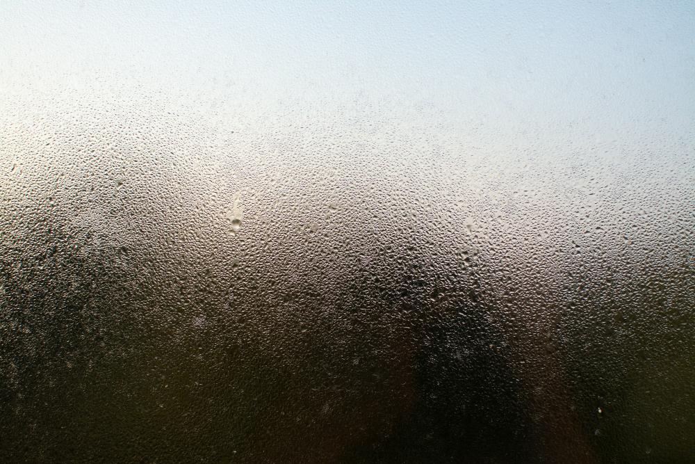 Moisture Control Services in Fletcher, NC